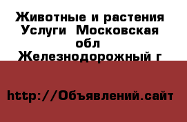 Животные и растения Услуги. Московская обл.,Железнодорожный г.